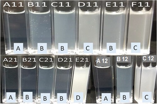 Figure 4. Self-nanoemulsifying capacity and dispersability grades of luteolin-SNEDDS; A11–F11, A21–E21 and A12–C12 denote different formulation prepared by using 1:1, 2:1 and 1:2 ratio of emulsifier:co-emulsifier, respectively. (a) Rapidly self-emulsified within a minute with clear nanoemulsions, (b) rapidly emulsified within a minute with bluish appearance, (c) emulsified within 2 min with slightly milky nanoemulsions and (d) emulsified after 2 min resulted in milky nanoemulsions.