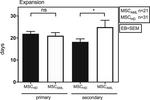 Figure 2. MSCAML need more time to expand in culture flasks than MSCHD. Absolute number of days BM-MSCAML (n = 21; AML samples 1–21) or -MSCHD (n = 31) needed to expand in 100 mm cell culture dishes (primary expansion) till 100% confluence was achieved and afterwards in 75 cm2 cell culture flasks (secondary expansion) till 80% confluence was achieved. Error bar = SEM; p (primary) = 0.6; p (secondary) = 0.03.