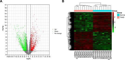 Figure 5 (A) Volcano chart (B) heatmap of differentially expressed genes (DEGs) in samples. The green dots indicate down-regulated DEGs while the red dots represent up-regulated DEGs in the volcano chart. The relative levels of gene expression are represented using a color scale: red represents high levels while blue represents low levels.