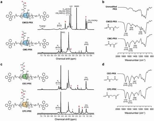 Figure 3. (a) 1H NMR spectra of CMCE-PRX in DMSO-d6 and CMC-PRX in D2O (400 MHz, 25°C). (b) FT-IR spectra of unmodified PRX, CMCE-PRX, and CMC-PRX. (c) 1H NMR spectra of CEC-PRX and CPC-PRX in D2O (400 MHz, 25°C). (d) FT-IR spectra of CEC-PRX and CPC-PRX