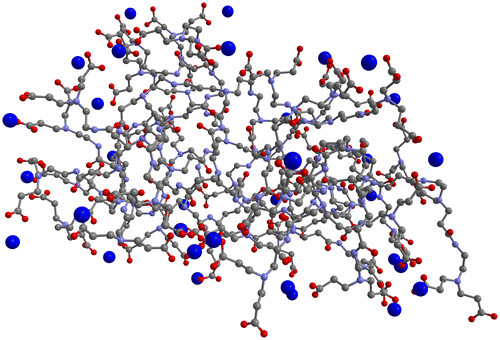 Figure 2. Three-dimensional representation of the final recorded step of one of the MD simulations of the G3.5 PAMAM dendrimer and Ca2+ in water.