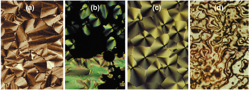 Figure 6. (Colour online) Photomicrographs of the mesophases of 4-decyloxybiphenylyl-cyanobenzoate (10OBCB) x100; (a) the texture of the Sm C˜ phase formed from the SmA phase, (b) the formation of the Sm C˜ phase in the homeotropic area of the SmA phase on cooling, (c) the texture of the columnar phase of 10OBCB, note the lack of focal-conic defects, and (d) the schlieren texture of the SmC phase formed on cooling the Sm C˜ phase.