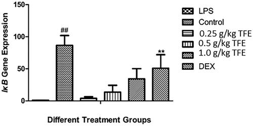 Figure 3. Effects of TFE on LPS induced IκB gene expression in lung tissues of LPS-induced ALI. (#compared with the control, *compared with LPS, **/##p < 0.01).