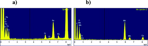 FIG. 6. Energy dispersive x-ray (EDX) analysis of Mn and Fe oxides nanoparticles. (a) Iron oxide. (b) Mn oxide.