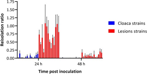 Figure 1. Effect of albumen from non-incubated eggs on the bacterial concentration of 14 cloaca and 14 lesion Enterococcus cecorum strains at 24 and 48 h after inoculation. The bacterial concentration is presented as a ratio (reisolation ratio ± SD) of the initial inoculated dose. Bacterial concentrations were assessed in quadruplicate for each strain and time-point.