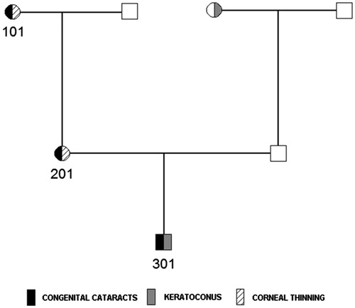 FIGURE 1. Pedigree structure of the Galician family. Genotyped individuals are identified by numbers.