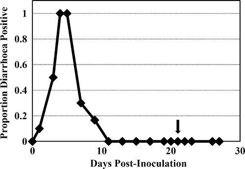 Figure 1.  Proportion of young turkey poults exhibiting diarrhoea following inoculation per os with TCoV-MG10 at 2 days of age (n = 10). Arrow indicates a challenge inoculation with TCoV-MG10 at 21 days of age (20 d.p.i.). No clinical signs were observed in any of the poults challenged at 21 days of age.