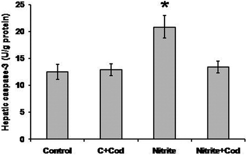 Figure 6. Effect of sodium nitrite (nitrite, 80 mg/kg/day) alone and its combination with cod liver oil (Cod, 5 ml/kg/day) for 12 weeks on hepatic caspase-3 activity. *Significant difference as compared with the rest of the groups at P < 0.05.