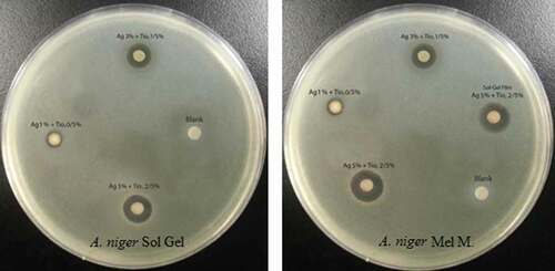 Figure 6. Antibacterial activity of LDPE/Ag/TiO2 against A. niger.