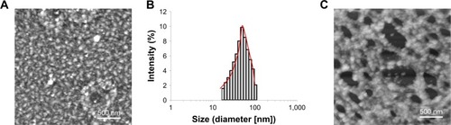 Figure 2 Morphological characterization of the bioinspired hydrogels.Notes: AFM image (A) and DLS analysis (B) of the nanoparticles from gum arabic, the scale bar=500 nm. The nanostructure (network) investigated from the bioinspired hydrogels (C); the scale bar=500 nm.Abbreviations: AFM, atomic force microscopy; DLS, dynamic light scattering.