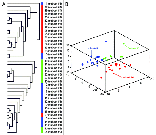 Figure 1. Unsupervised hierarchical clustering (A) and three-dimensional principal component analysis (PCA) of DNA methylation data (B) comparing samples belonging to subset #1, subset #2 and subset #4. The S refers to the subset number while the following number refers to the specific case as detailed in Table S1.