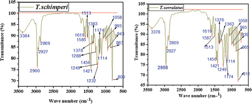 Figure 3. FT-IR Results of T.schimperi and T.serrulatus essential oil.