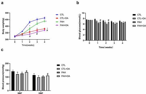 Figure 2. Effects of Dapagliflozin on the body weight, blood glucose and blood pressure. The body weight (a), The blood glucose (b), and the blood pressure (c) (n = 8–10 per group). Data are presented as mean as ±SEM. *P < 0.05 vs. CTL group, #P < 0.05 vs. PAH group. **P < 0.01 vs. CTL group, ##P < 0.01 vs. PAH group. Abbreviations: SBP, systolic blood pressure; DBP, diastolic blood pressure.