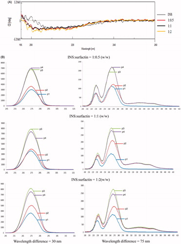 Figure 3. INS structure influenced by surfactin. INS was mixed with surfactin at pH 1.2 to form co-precipitates following to pH 6.8 for re-dissolving, then the CD or fluorescence spectrum was detected for analysis of INS structure influenced by surfactin. (A) CD spectrum of INS in the presence of surfactin. The ratio of surfactin to INS is 0.5:1, 1:1 and 2:1 (w/w), indicated by solid red, black and yellow line, respectively. (B) The fluorescence spectrum of INS in the presence of surfactin. P1: Surfactin; P2: INS; P3: INS mixed with surfactin at pH 1.2, then to 6.8; P4: INS mixed with surfactin at pH 6.8. The x-axis is wavelength (nm), and the y-axis is fluorescence intensity.