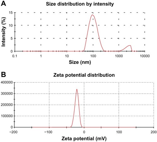 Figure 5 Particle size distribution (A) and zeta potential distribution (B) of GO-NLCs.Abbreviation: GO-NLCs, nanostructured lipid carriers loaded with both oleanolic acid and gentiopicrin.