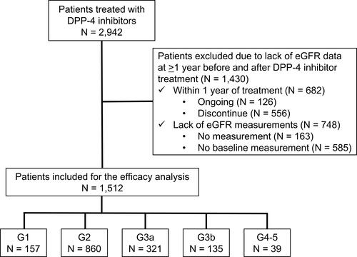 Figure 1 Patient disposition.