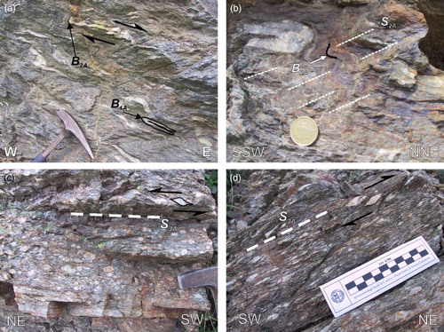 Figure 5. (a) Classical appearance of MPU phyllites with crenulated quartz lenses indicating a top-to-the E shear sense suggested by the slight asymmetry of folds; (b) Crenulation cleavage (S2A) developed during D2 deformational phase; (c) augen gneisses of APU (top-to-the NE shear sense); (d) mylonitic shear zone developed within APU augen gneisses (top-to-the NE shear sense).