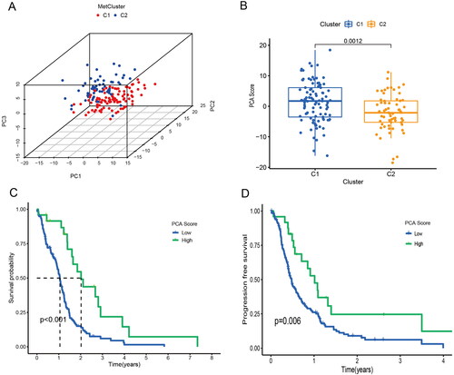 Figure 3. PCA scores were associated with TCGA-GBM prognosis. (A) Principal component analysis for TCGA-GBM patients. (B) PCA scores in different clusters. (C) Overall survival analyses for different clusters. (D) Progression free survival analyses for different clusters.
