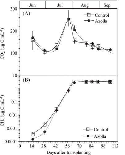 Figure 5. Changes in the concentration of CO2 (A) and CH4 (B) dissolved in the soil solution in the pots between the treatments of absence (Control), presence of A. filiculoides (Azolla) throughout the experiment period. Bars indicate standard deviation (n = 4).