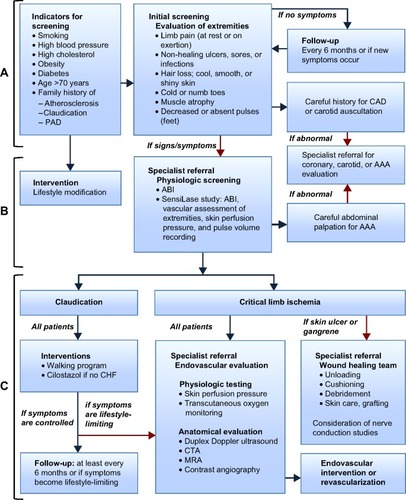 Figure 1 Algorithm for the diagnosis and management of patients with PAD.