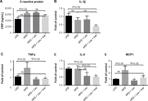 Figure 11 Leu and Icar combination suppresses inflammation in liver of DIO-mice.