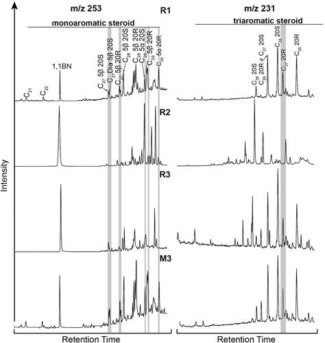 Figure 10. m/z 253 and m/z 231 ion chromatograms of the aromatic hydrocarbon fractions of the surficial sediment samples showing aromatic steroid distributions. The grey shading highlights the key compounds used to calculate the diagnostic ratios in Table 4.
