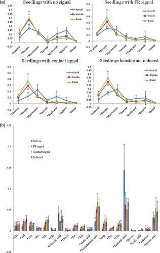 Figure 3.  Molar percentage graph of metabolites. Cuscuta seedlings without any cue, seedlings with FR light signal, seedlings with contact signal and haustorium induced seedlings. (a) Graph of sugar and polyols. Apical, middle, basal indicates the regions of the seedling used for this analysis; (b) Graph of amino acids and organic acids at apical part of Cuscuta seedlings.Value is mean and error bar indicates SD (three biological replicates).