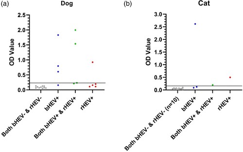 Figure 3. Optical Density (OD) values bHEV and rHEV EIA positive companion (A) dog and (B) cat sera in Wantai assay. Gray dots: bHEV and rHEV EIA negative control samples (n = 10); blue dots: sera testing positive only in bHEV EIA; red dots: sera testing positive only in rHEV EIA; green dots: sera testing positive in both EIAs. Horizontal lines represent cutoffs derived from mean OD + 3 standard deviations of 40 companion animal sera testing negative in both bHEV and rHEV EIAs.
