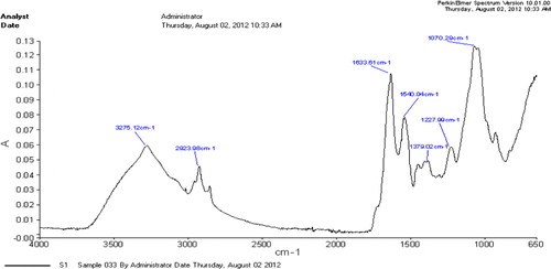Figure 1. ATR-FTIR spectra of EPS of PP1 strain.