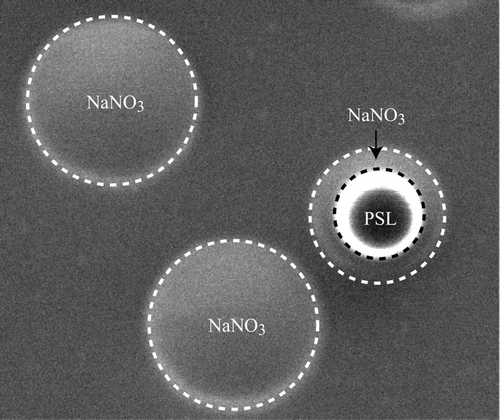 FIG. 2 Annotated Scanning Electron Microscope (SEM) images of a PSL particle coated with NaNO3 and two pure NaNO3 particles, all with 280 nm mobility diameters. These images show that NaNO3 does not crystallize even under vacuum in the SEM despite the presence of either the TEM grid or the PSL particle. The image shows that NaNO3 remains in a liquid-like phase that wets the TEM grid surface.