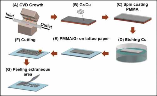 Figure 4. Electrode fabrication following wet transfer and dry patterning technique (Qiao et al., Citation2018).