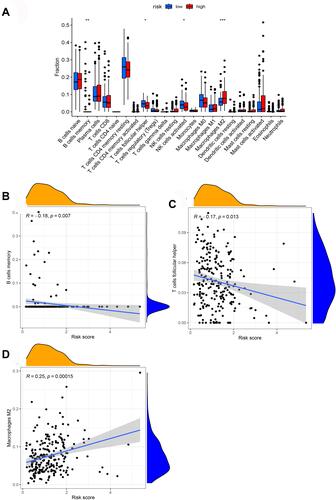 Figure 9 The association between the risk score and infiltrating immune cells. (A) The ratio differentiation of infiltrating immune cells between the high-risk and low-risk groups. (B–D) 3 kinds of infiltrating immune cells associated with the risk score.