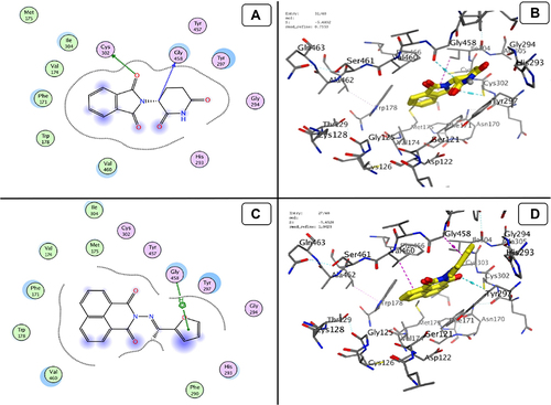 Figure 14 Docking model (A) 2D of THD fits into binding site of ALDH1; (B) 3D of THD fits into binding site of ALDH1; (C) 2D of TA fits into binding site of ALDH1; (D) 3D of TA fits into binding site of ALDH1.