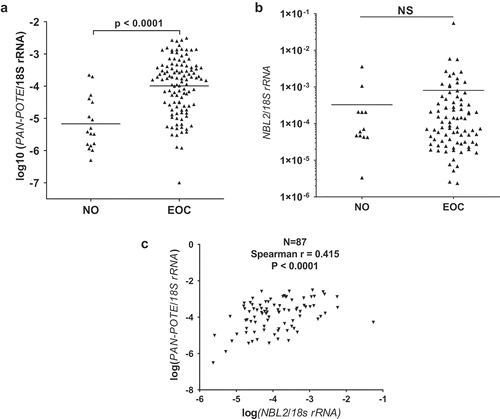 Figure 1. Pan-POTE expression is associated with NBL2 expression in EOC. (a) PAN-POTE RNA expression in normal ovary (NO) and primary EOC. (b) NBL2 RNA expression in NO and primary EOC. (c) Pan-POTE RNA vs. NBL2 RNA in primary EOC. RNA expression was normalized to 18s rRNA. Panels A-B plot median values and two-tailed Mann-Whitney test results, and panel C shows Spearman correlation test results.