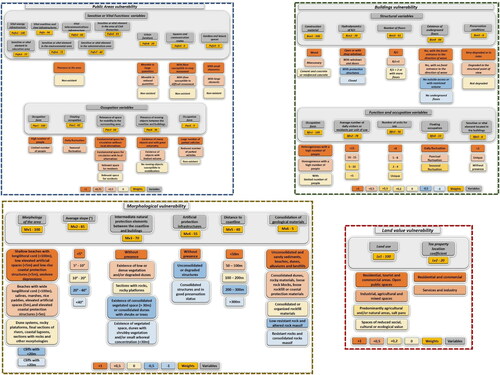 Figure 2. Vulnerability assessment variables, attributes and weightings. (Colour figure).