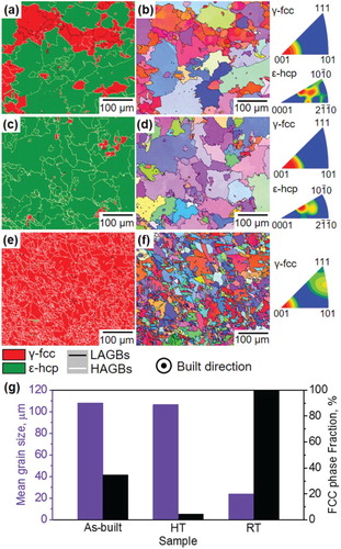 Figure 2. (a–f) EBSD phase maps and inverse pole figure (IPF) maps of as-EBM built (a and b), heat-treated (c and d) and reverse-transformed (e and f) specimens of biomedical Co–Cr–Mo alloy prior to fatigue tests. (g) The corresponding average grain sizes and fcc phase fractions.