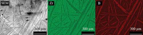 Figure 4. SEM image and element mappings of Zr0.68B0.32.