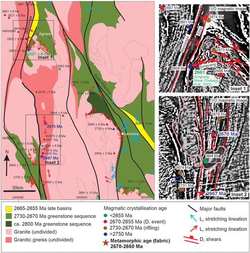 Figure 13. A linear belt of granitic gneiss with shallow stretching lineations observed along the western margin of the Eastern Goldfields, extending up to the Waroonga Shear at Agnew. Direct dating of these gneissic fabrics indicates an age range from 2670 to 2660 Ma (Zibra et al., Citation2022). Identical shallow north-plunging L1 stretching lineations are observed on the D1 Songvang Shear at Agnew and have recently been dated at 2661 ± 8 Ma (Thébaud et al., Citation2018).