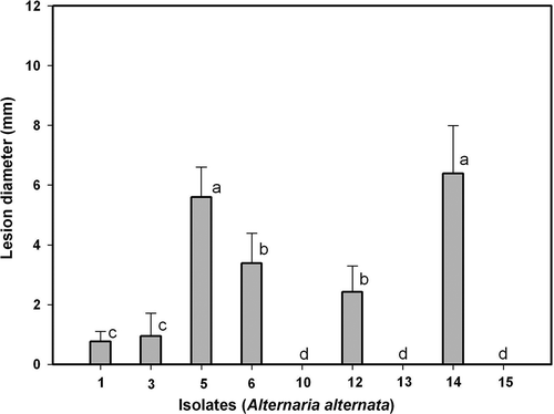Fig. 1. Pathogenicity of Alternaria alternata isolates Alt1, Alt3, Alt5, Alt6, Alt10, Alt12, Alt13, Alt14 and Alt15 on unwounded fruits of ‘Fortune’ mandarin. Vertical bars denote ± SE, when larger than symbols. Values not sharing a common superscript letter are significantly different (P < 0.05).