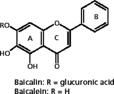 FIG. 1 The structure of balcalein (aglucone of balcalin). Adapted from Lai et al. (Citation2003).