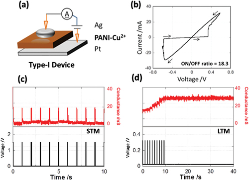 Figure 2. (a) Device architecture for Type I: Cu2+- doped devices; (b) I-V response to ± 0.6 V input at 1 hz sweep rate; (c, d) Conductance response of pulsed inputs of width (W) = 0.05 s at intervals (T) = 1 s for voltage amplitudes (V) = 1.5 V (c, STM) or 0.3 V (d, LTM).