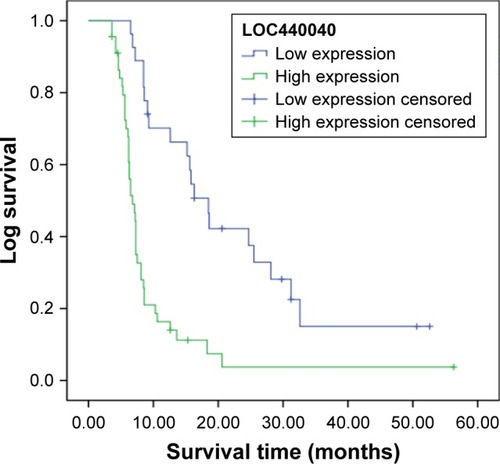 Figure 2 Kaplan–Meier survival curves of patients with PCa based on LOC440040 expression status (P<0.001, log-rank test).