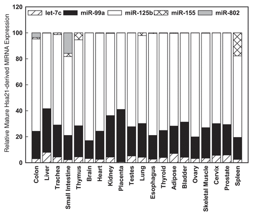 Figure 1 Relative expression of Hsa21-derived miRNAs in human tissues. Mature human let-7c, miR-99a, miR-125b, miR-155 and miR-802 were quantified utilizing TaqMan microRNA assay kits specific for each Hsa21-derived miRNA (Applied Biosystems, Foster City, CA) as previously described.Citation40,Citation42 The expression values were normalized to RNU48 for each tissue. Relative gene expression was calculated as 2-(CTmiR-155-CT-RNU48). The relative abundance of each Hsa-21 derived miRNA is shown as a percentage of total combined expression of Hsa-21 derived miRNAs for each tissue investigated.