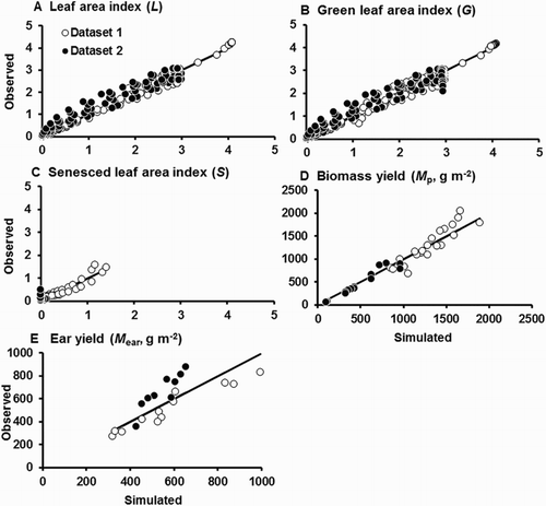 Figure 6. Performance of the model of sweet corn growth and yield after the second fitting, using pooled data for L, G, S, Mp, and Mear from Datasets 1 and 2. Solid lines are those for perfect agreement. Note that the leaf area values from Dataset 2 refer only to leaves on the main stem, but those from Dataset 1 include main stem and tillers.