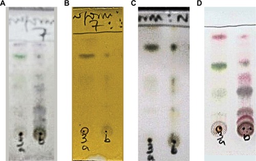 Figure 1 Spray analysis of the TLC plates of precipitate and supernatant with phytochemical reagents.