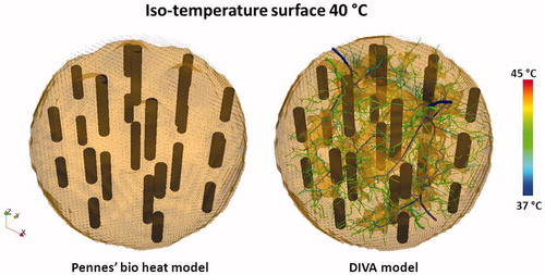 Figure 6. Opaque iso-temperature surface of the simulated temperature distribution for the 12 dual electrode implant in Figure 4, resulting from the Pennes’ bio heat model and the DIVA model. The picture for the DIVA model also shows the temperature distribution in the vasculature, responsible for the cold tracks where the temperature remains below 40 °C.