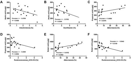 Figure 6 Analysis of Pearson correlations between differential SCFAs and colonic microbial genera. (A) Intestinimonas vs acetic acid; (B) Oscillibacter vs acetic acid; (C) Akkermansia vs propionic acid; (D) Ruminococcaceae_UCG-014 vs propionic acid; (E) Akkermansia vs butyric acid; (F) Ruminococcaceae_UCG-014 vs butyric acid.