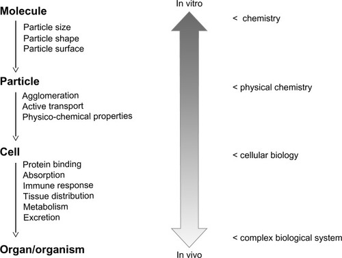 Figure 4 Extrapolation from in vitro data to the in vivo situation.Notes: In vitro experimental systems can be used to characterize nanoparticles with respect to their chemical composition and physicochemical properties. Cell-culture-based experimental systems can be used to study molecular mechanisms of cellular uptake and intracellular processing of particles. However, additional information is needed to address questions related to the in vivo behavior of nanomaterials and their interaction with complex biological systems. In particular, the prediction of pharmacokinetic parameters remains a challenge.