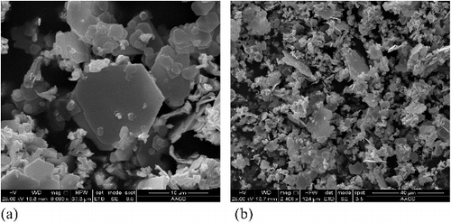 Figure 2. (a,b) SEM of micro-WS2 under different magnifications.