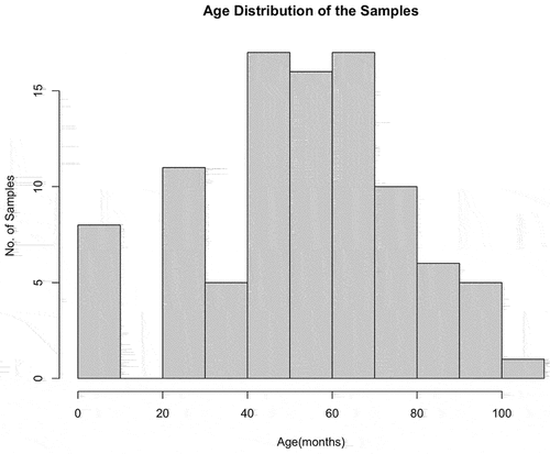 Figure 1. Histogram of Age Distribution of Samples. Age distribution of cow samples used in the study.